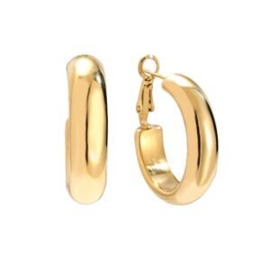 Stainless Steel Oorringen