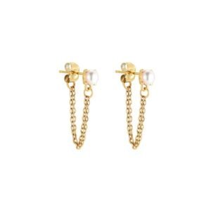 Stainless steel oorhanger