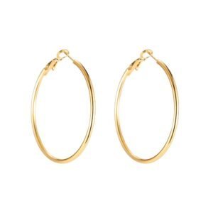 Stainless Steel Oorringen